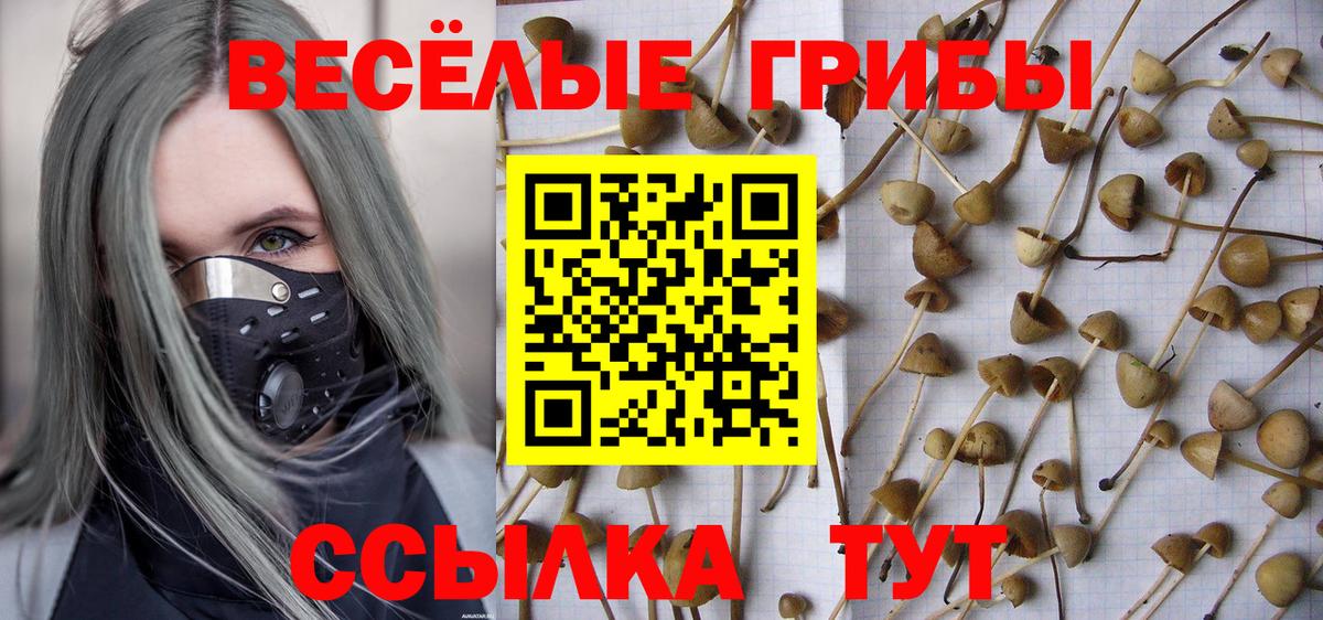 Волгоград  Псилоцибиновые грибы GOLDEN TEACHER  Вход с VPN 